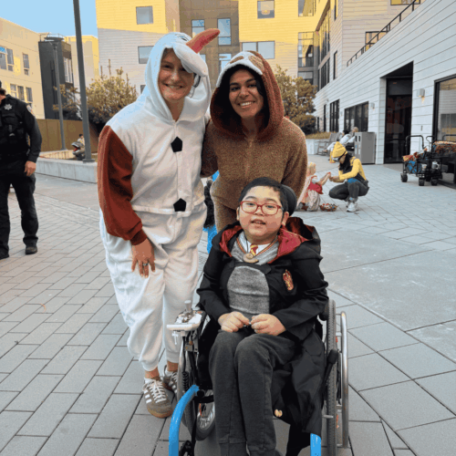 Website-1400x1400-12-500x500