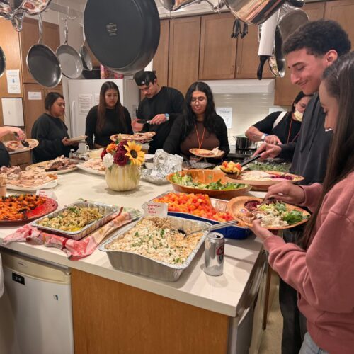 Website 1400x1400 - 2